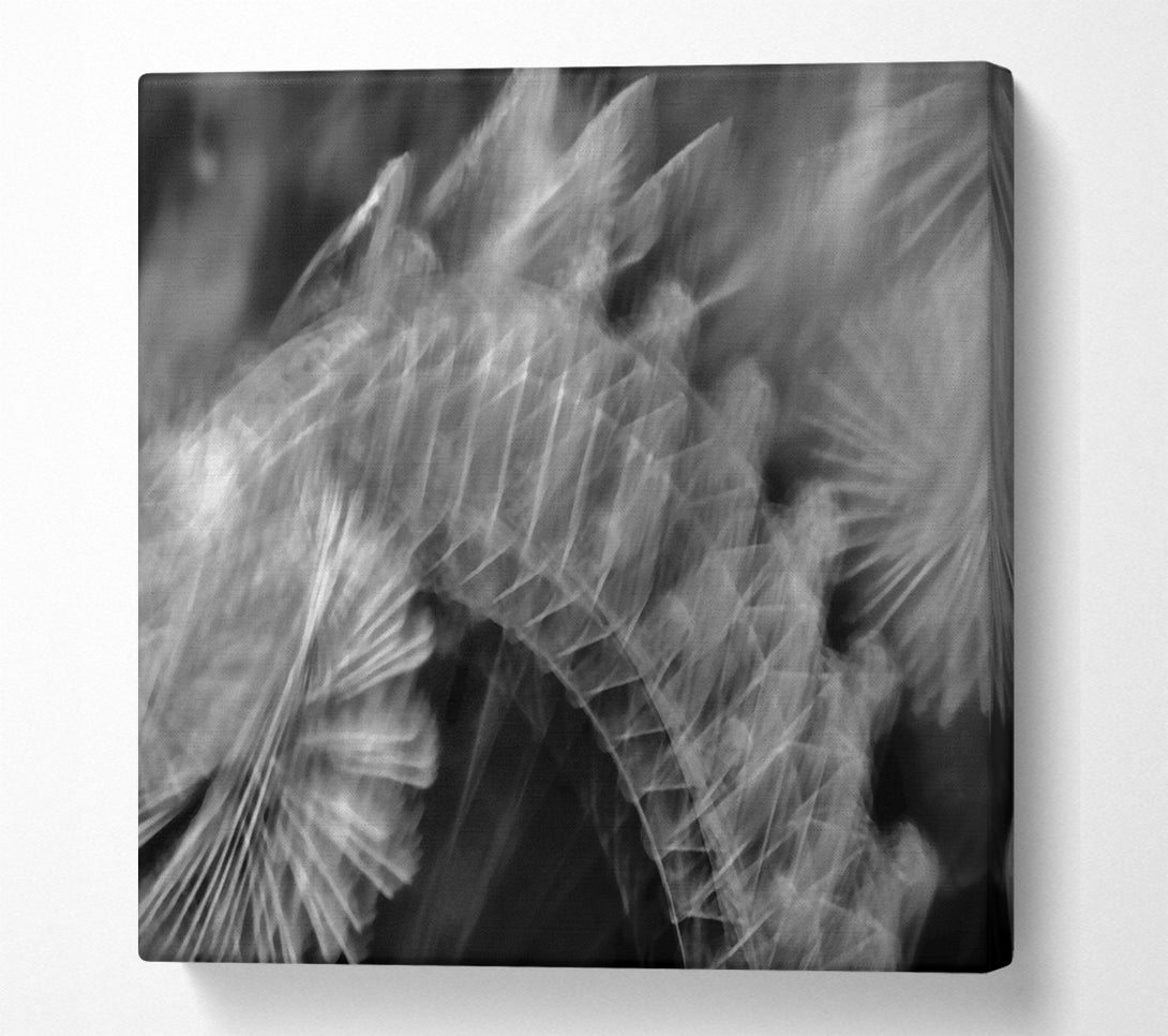  A Canvas Print of White Feather Fade Canvas Wall Art