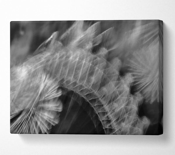  A Canvas Print of White Feather Fade Canvas Wall Art