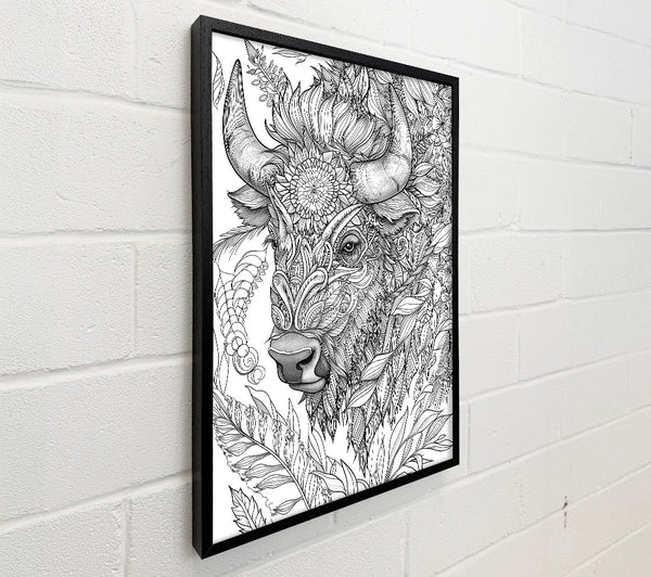 Black And White Bison Bloom