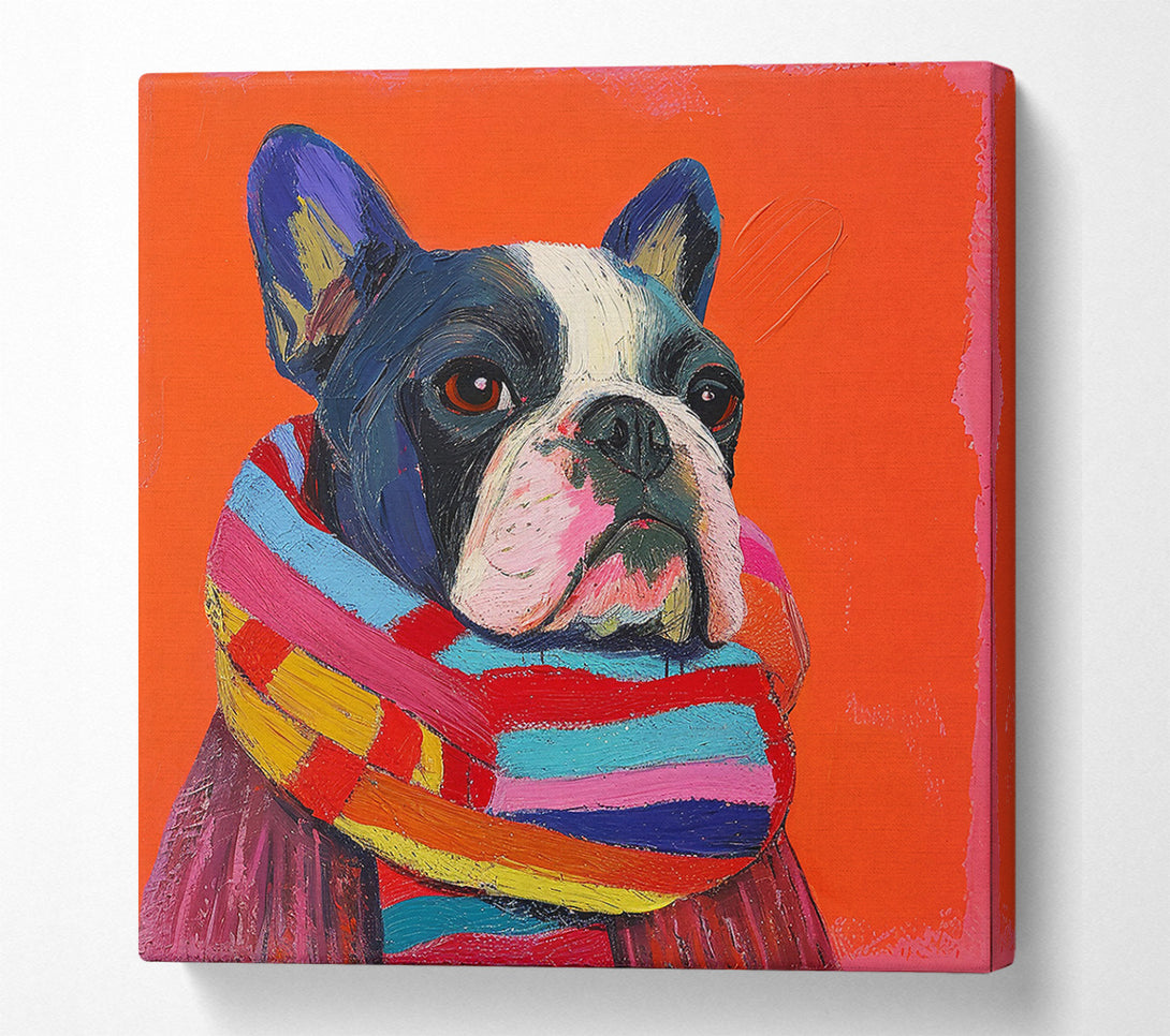  A Canvas Print of Orange Frenchie Scarf Canvas Wall Art