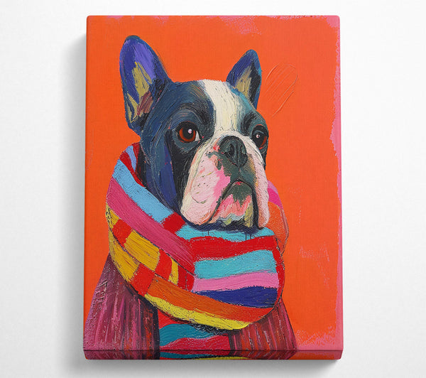  A Canvas Print of Orange Frenchie Scarf Canvas Wall Art