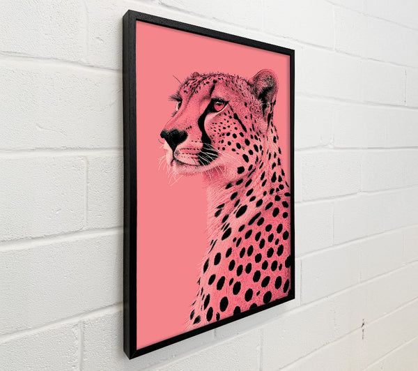 Pink Cheetah Gaze