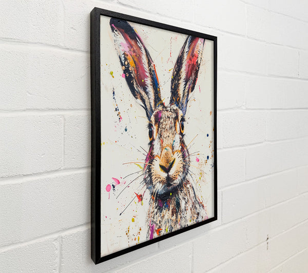 Pink Splashed Hare