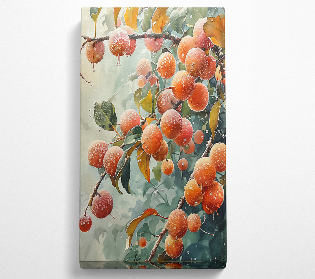  A Canvas Print of Orange Dew Drops Canvas Art
