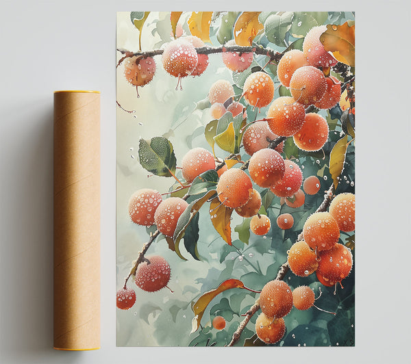 Orange Dew Drops Poster