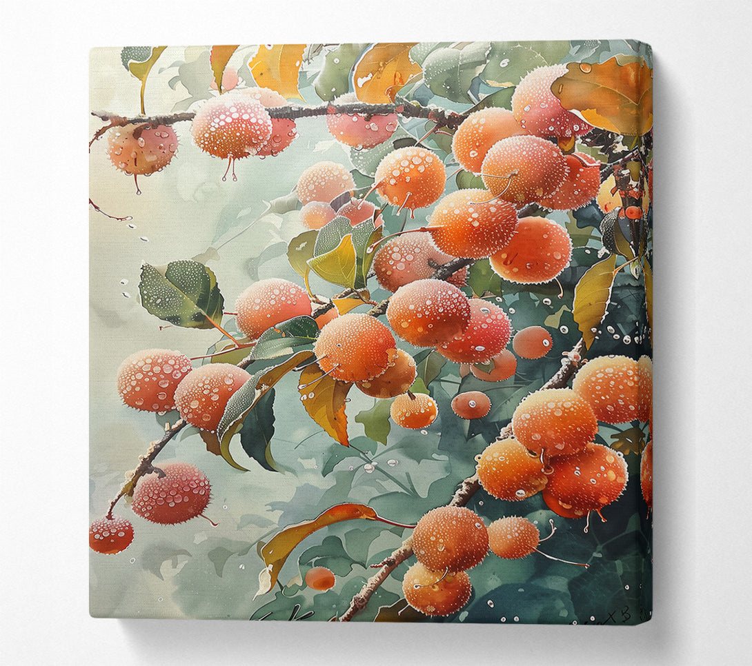  A Canvas Print of Orange Dew Drops Canvas Art