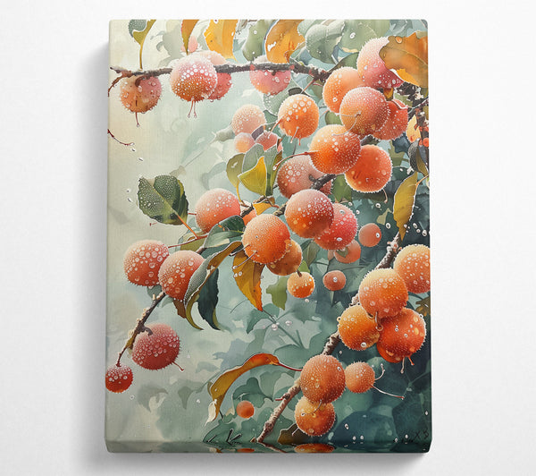  A Canvas Print of Orange Dew Drops Canvas Art