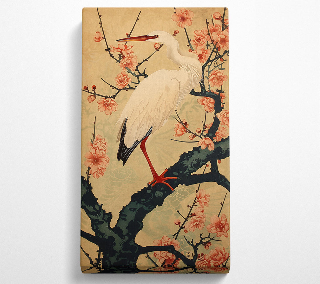  A Canvas Print of Peach And White Heron Canvas Print