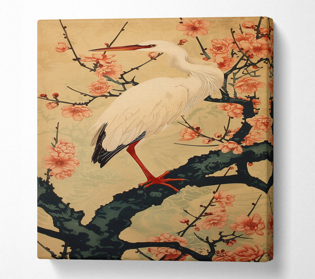  A Canvas Print of Peach And White Heron Canvas Print