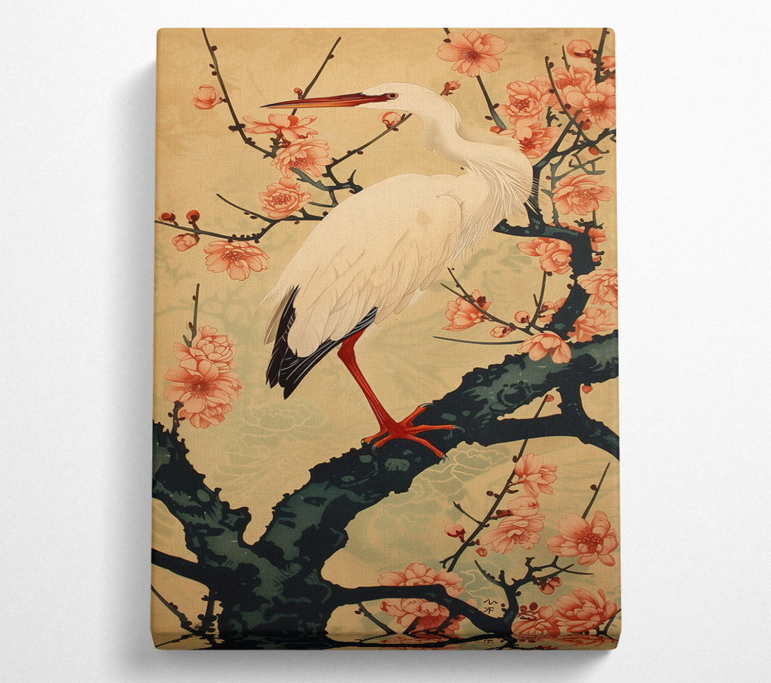  A Canvas Print of Peach And White Heron Canvas Print