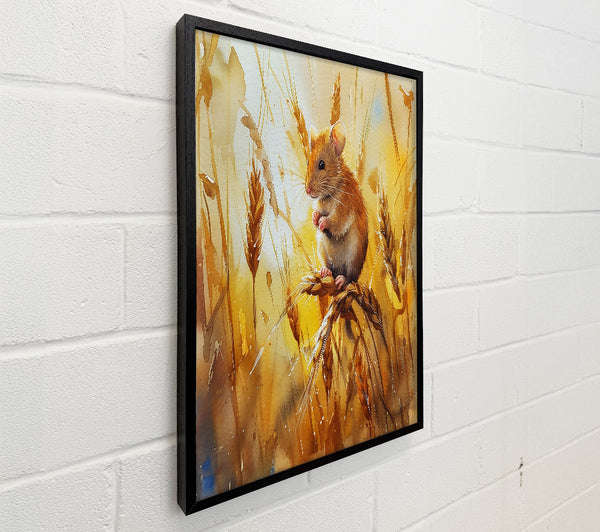 Golden Harvest Mouse