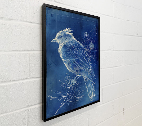 Cerulean Avian Blueprint