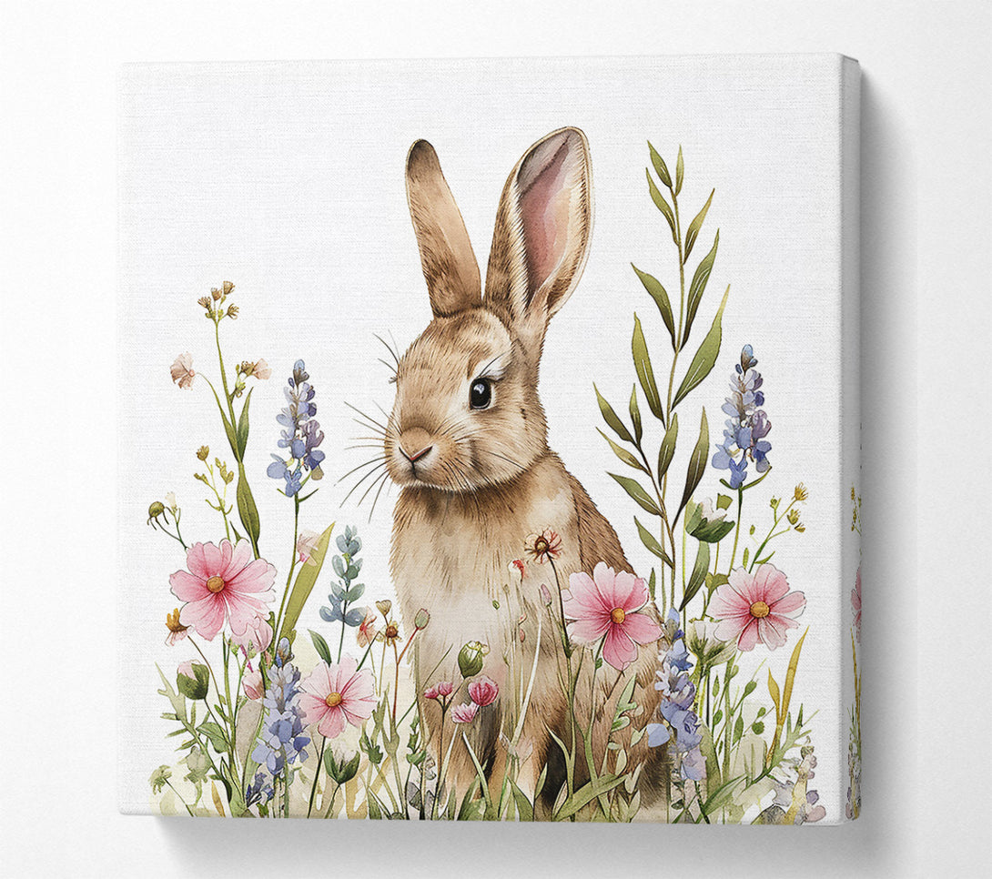 A Canvas Print of Pink Bunny Blooms Canvas Art