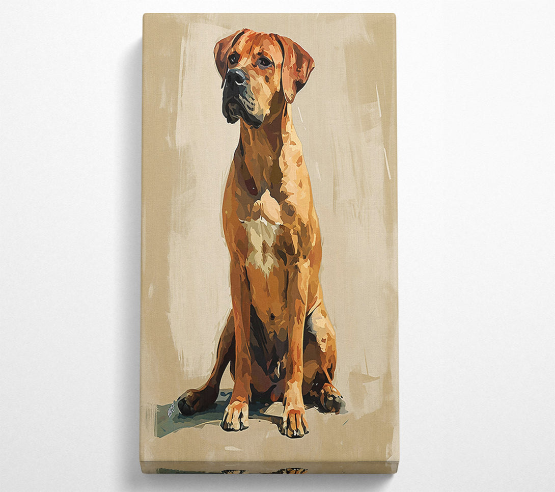  A Canvas Print of Copper Canine Gaze Canvas Print