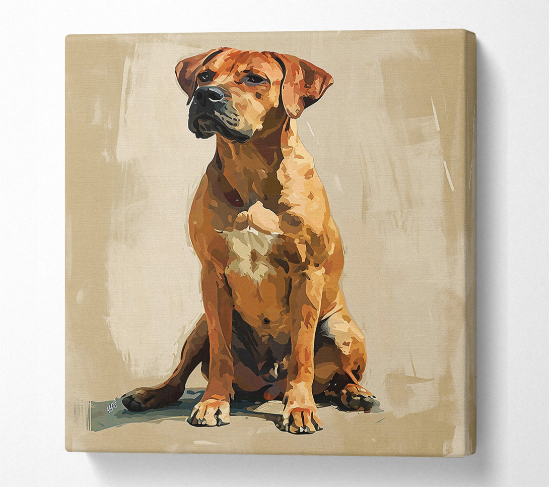  A Canvas Print of Copper Canine Gaze Canvas Print