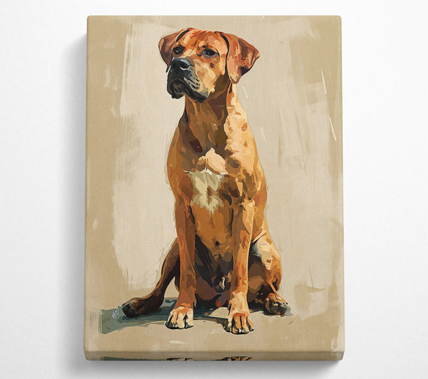  A Canvas Print of Copper Canine Gaze Canvas Print