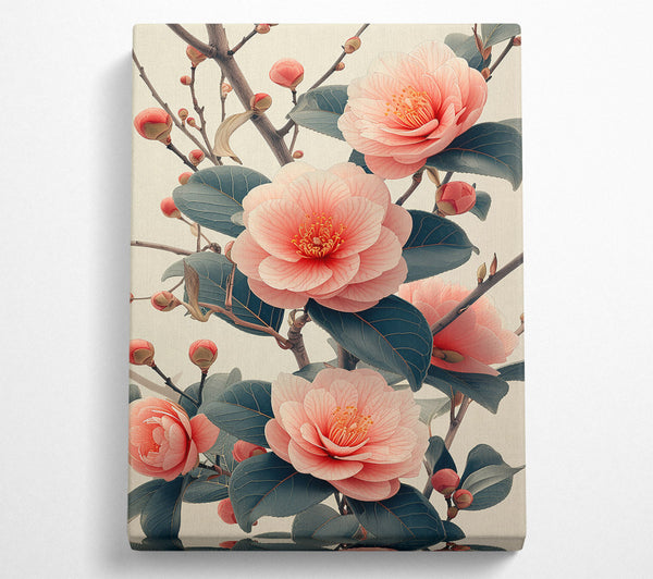  A Canvas Print of Pale Pink Bloom Canvas Art