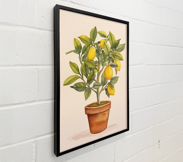 Yellow Lemon Tree Potted