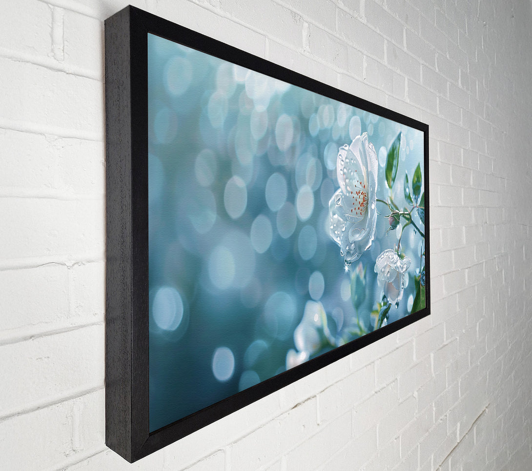  A Canvas Print of Aqua Dewy Bloom Canvas Wall Art