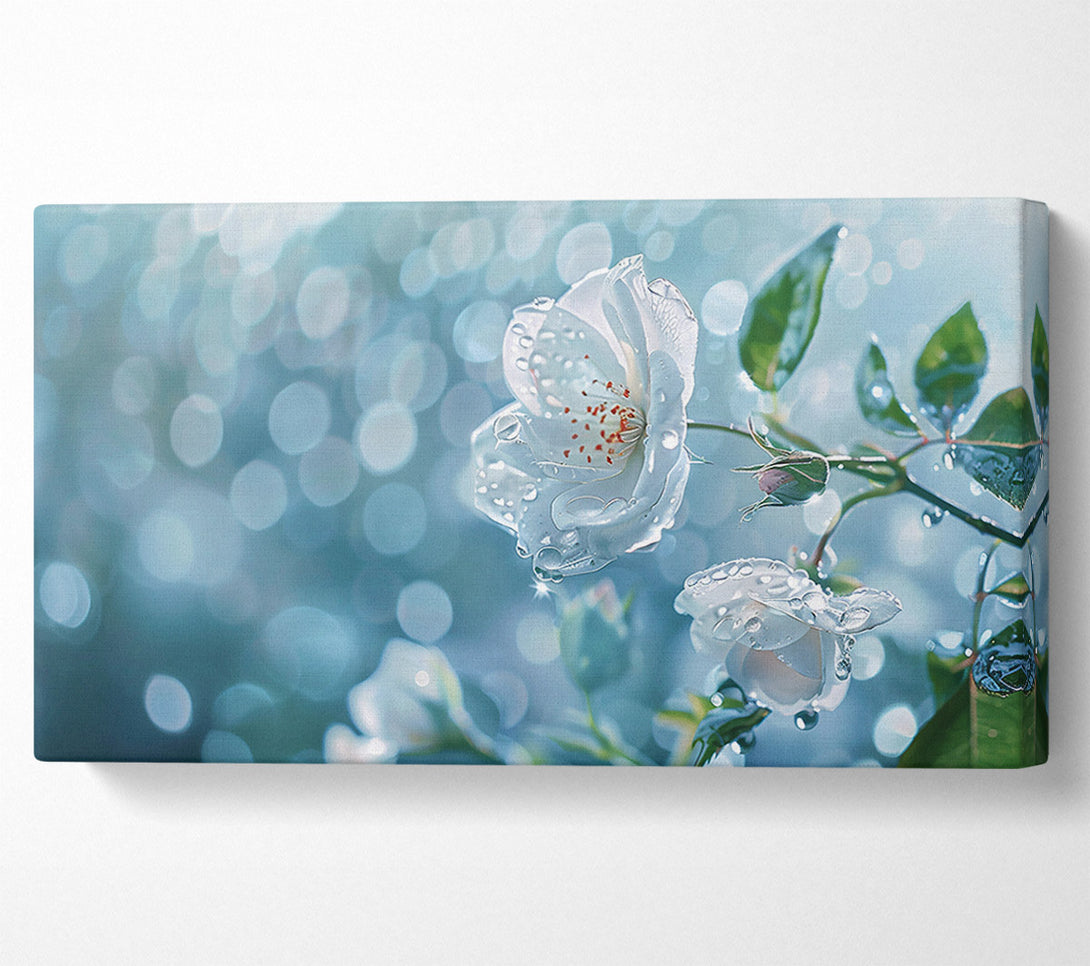  A Canvas Print of Aqua Dewy Bloom Canvas Wall Art