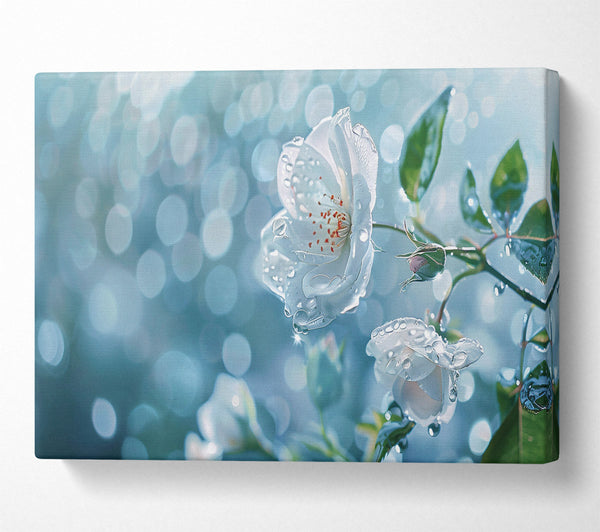  A Canvas Print of Aqua Dewy Bloom Canvas Wall Art