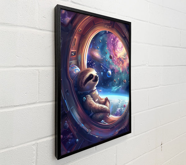 Blue Sloth'S Journey