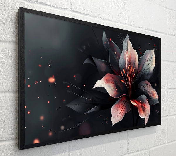 Crimson Lily Bloom