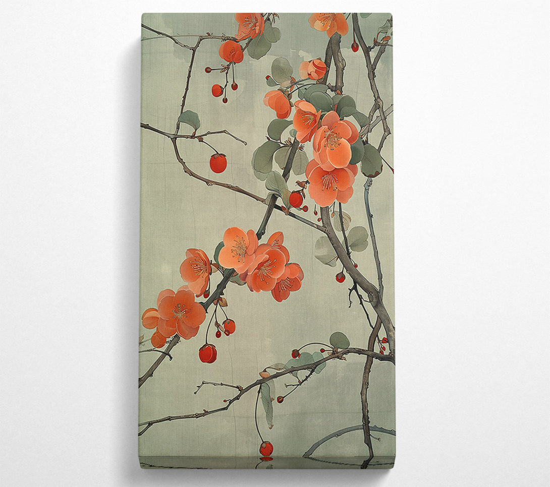  A Canvas Print of Coral Blossom Branch Canvas Print