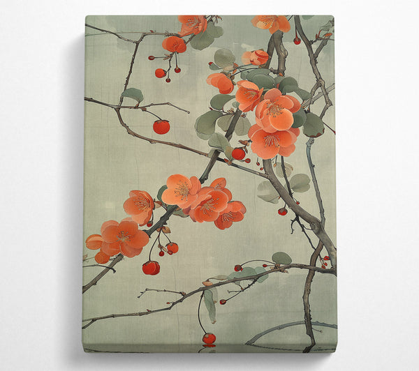  A Canvas Print of Coral Blossom Branch Canvas Print