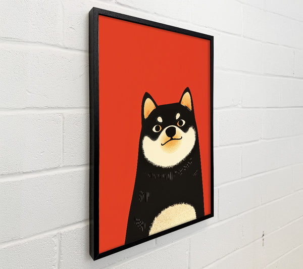 Red And Black Shiba Inu