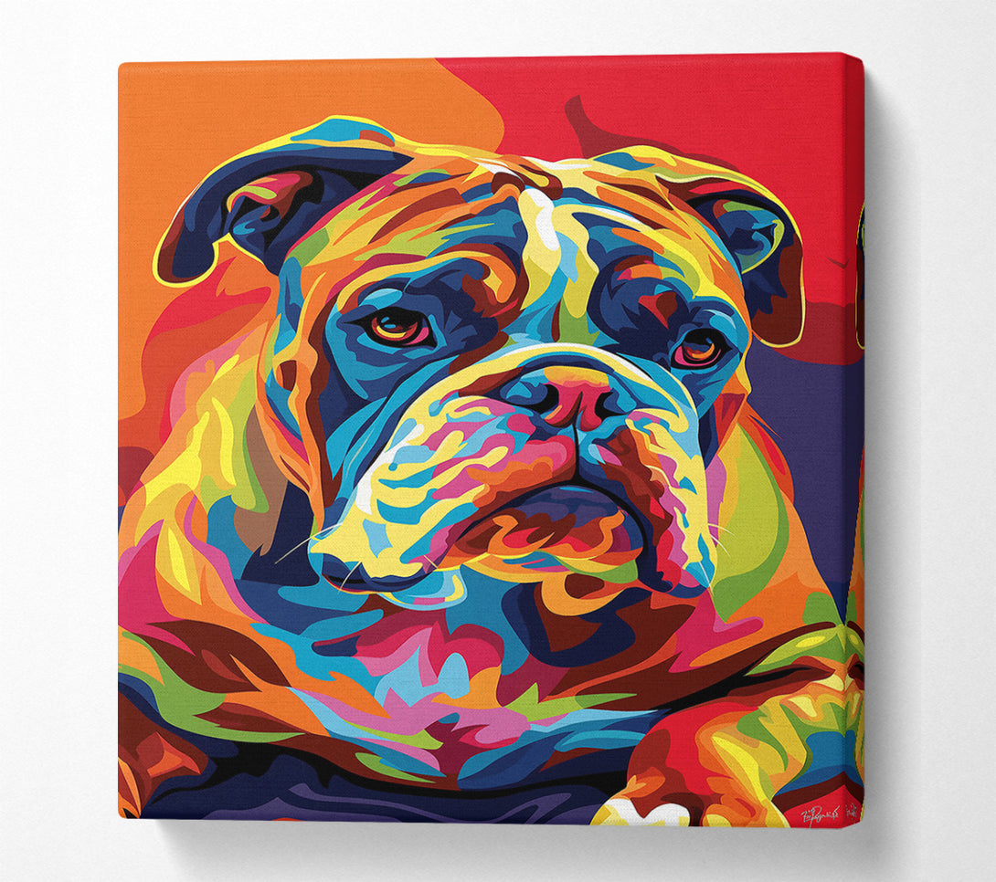  A Canvas Print of Orange Bulldog Portrait Canvas Art