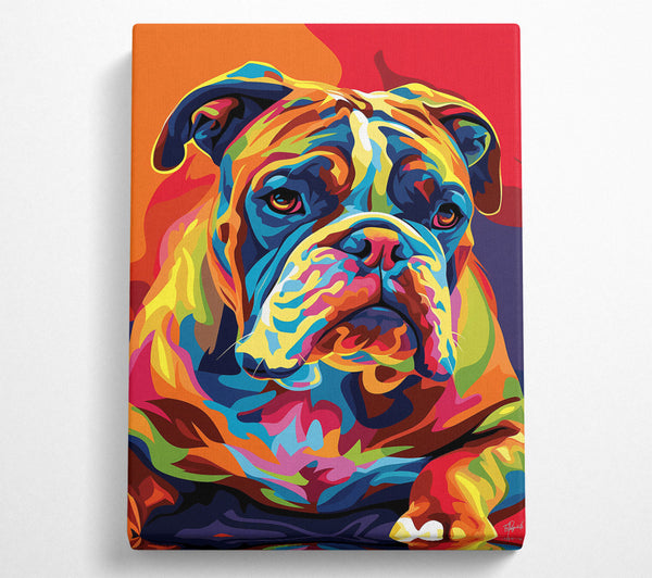  A Canvas Print of Orange Bulldog Portrait Canvas Art