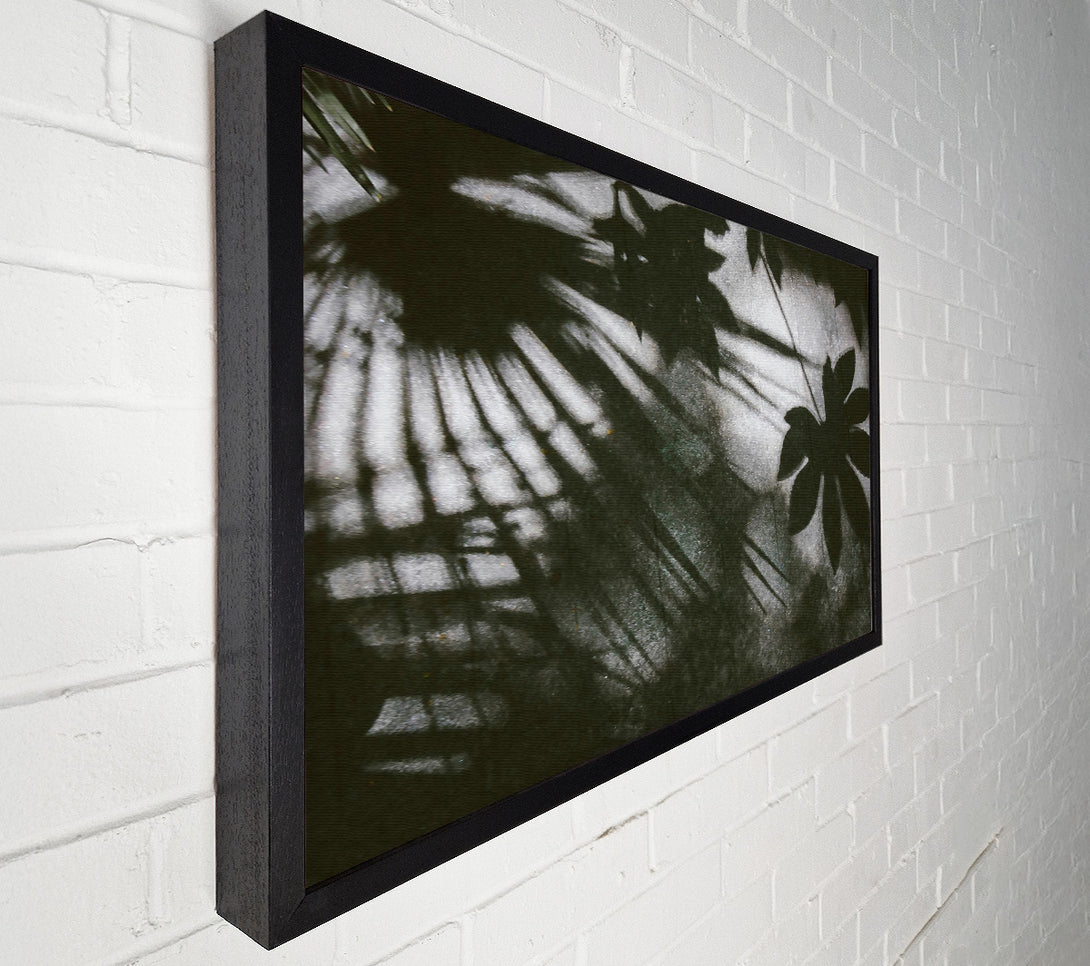  A Canvas Print of Silver Leaf Shadows Canvas Art
