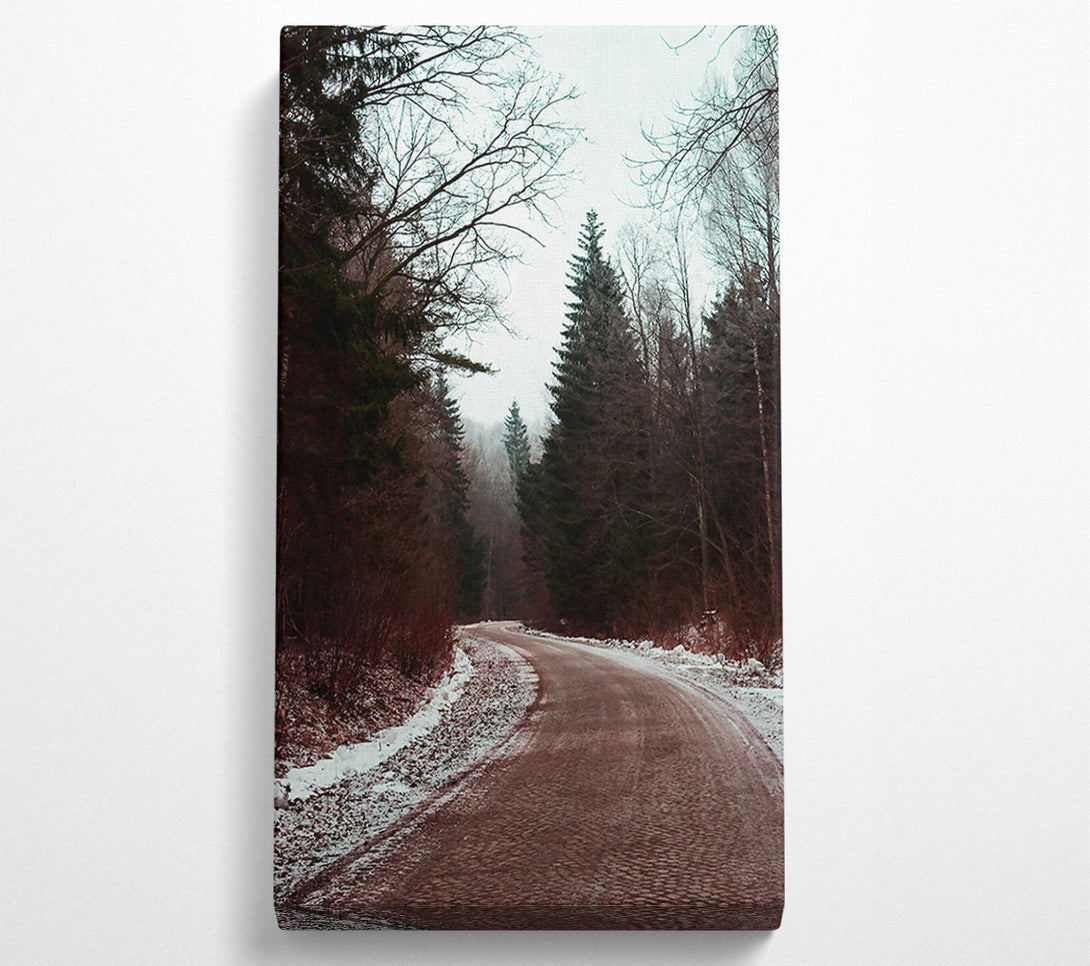  A Canvas Print of Red Forest Path Canvas Art