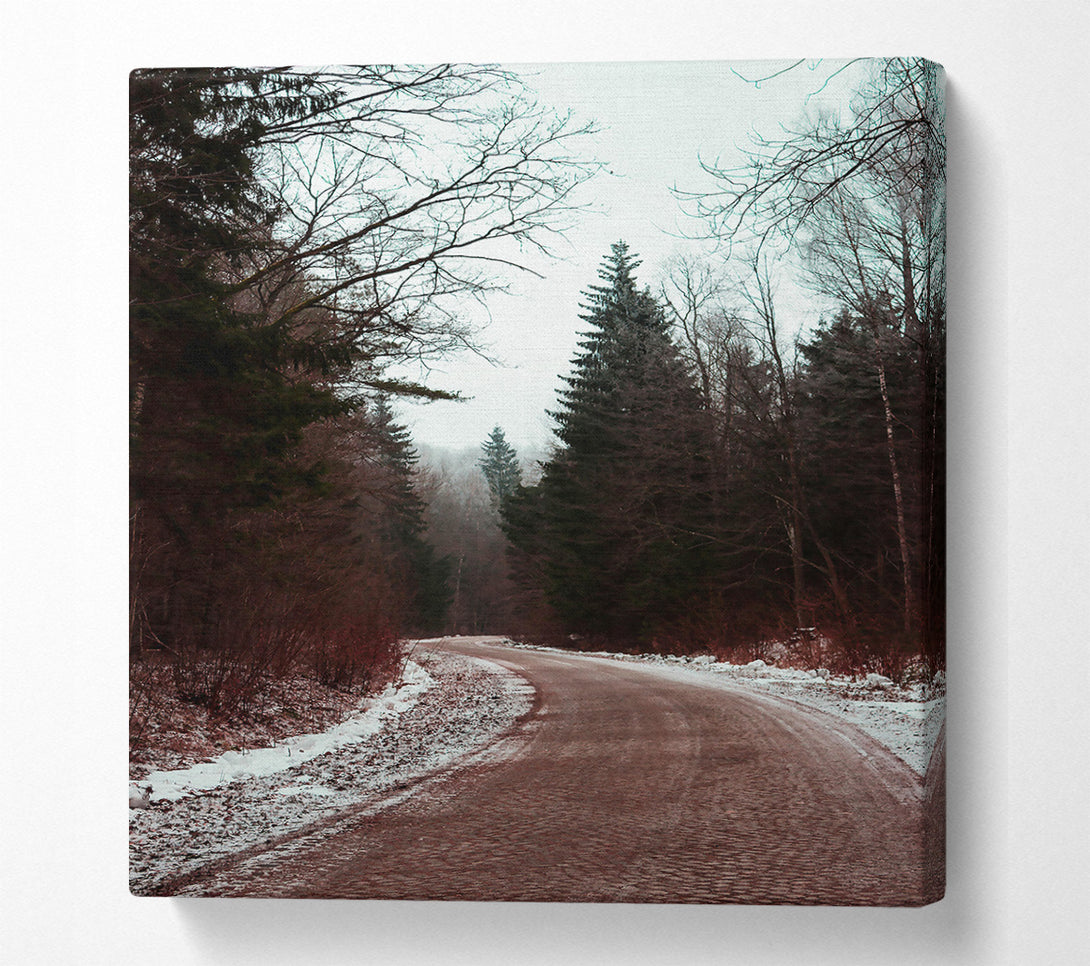  A Canvas Print of Red Forest Path Canvas Art