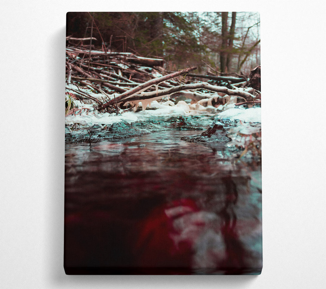  A Canvas Print of Crimson Winter Stream Canvas Art