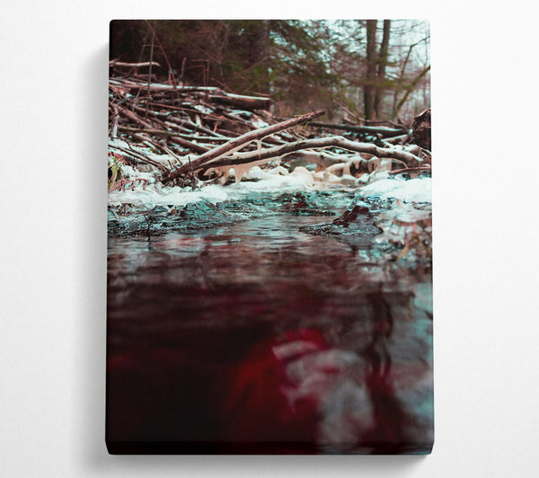  A Canvas Print of Crimson Winter Stream Canvas Art