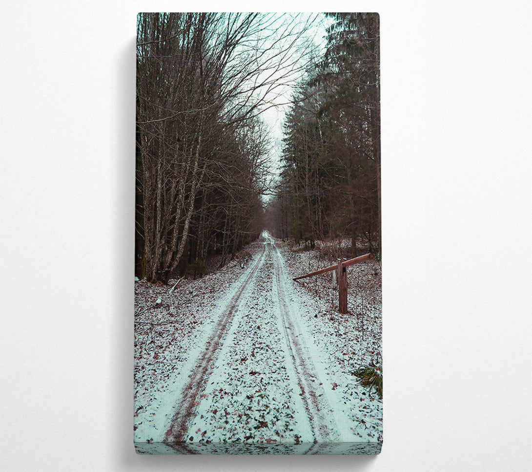  A Canvas Print of White Snow Forest Path Canvas Wall Art