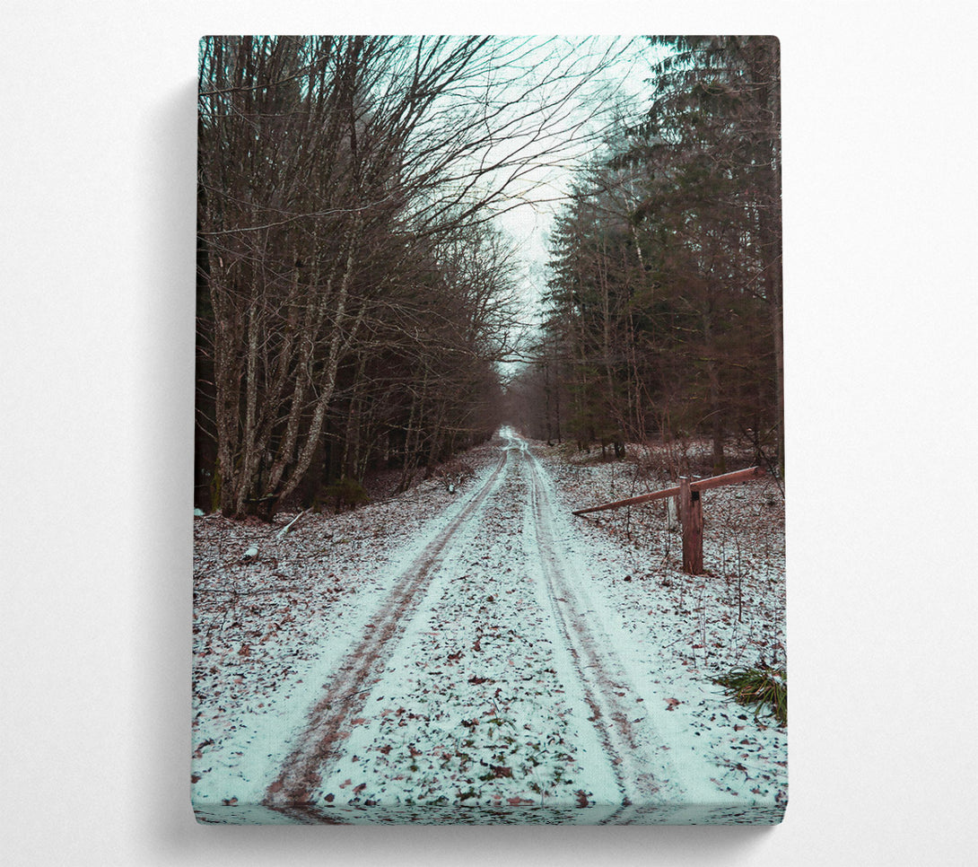  A Canvas Print of White Snow Forest Path Canvas Wall Art