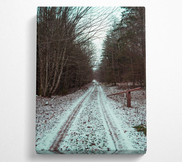  A Canvas Print of White Snow Forest Path Canvas Wall Art