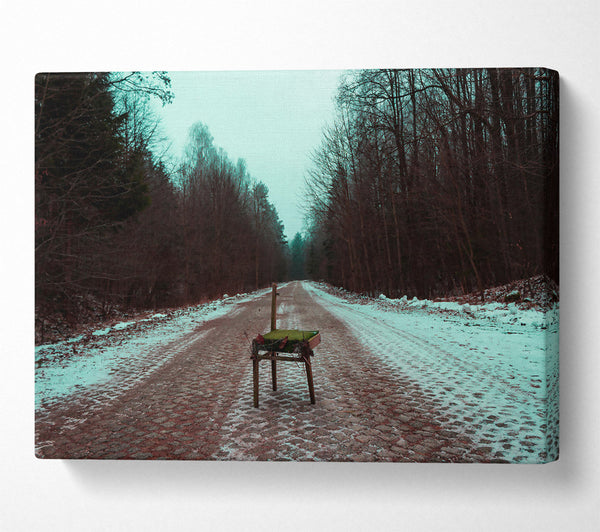  A Canvas Print of Teal Forest Solitude Canvas Art