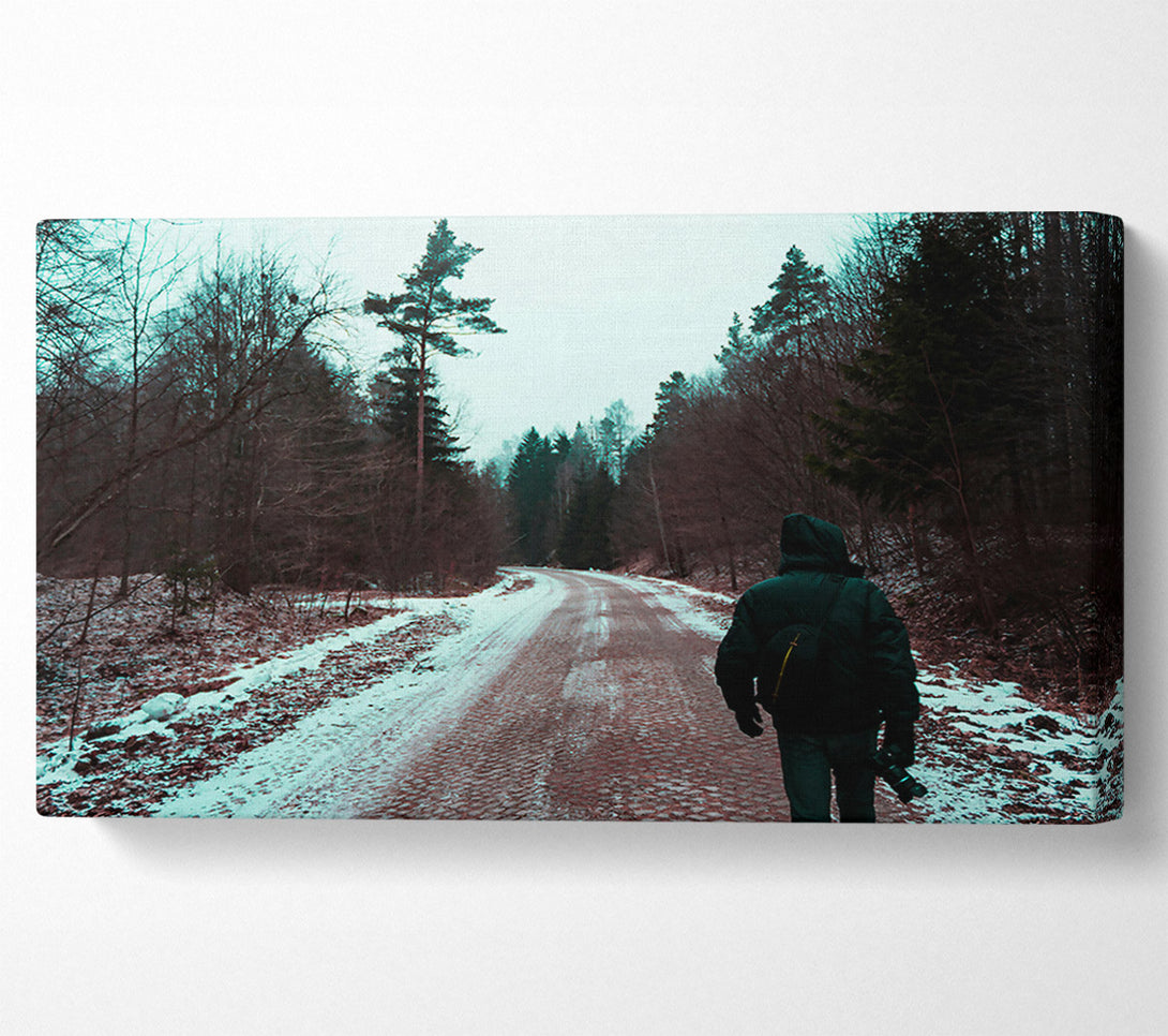  A Canvas Print of Teal Forest Path Canvas Print