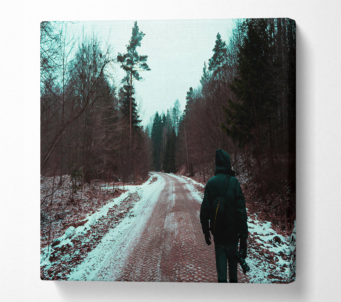  A Canvas Print of Teal Forest Path Canvas Print
