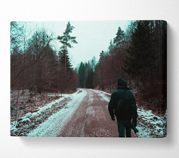  A Canvas Print of Teal Forest Path Canvas Print