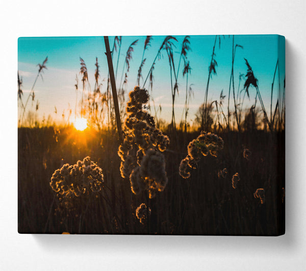  A Canvas Print of Golden Sunset Silhouettes Canvas Art
