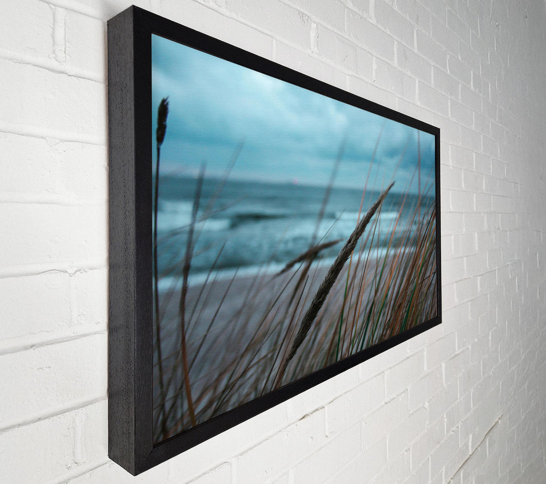  A Canvas Print of Blue Seagrass Whispers Canvas Wall Art
