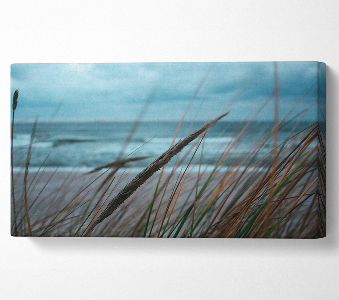  A Canvas Print of Blue Seagrass Whispers Canvas Wall Art