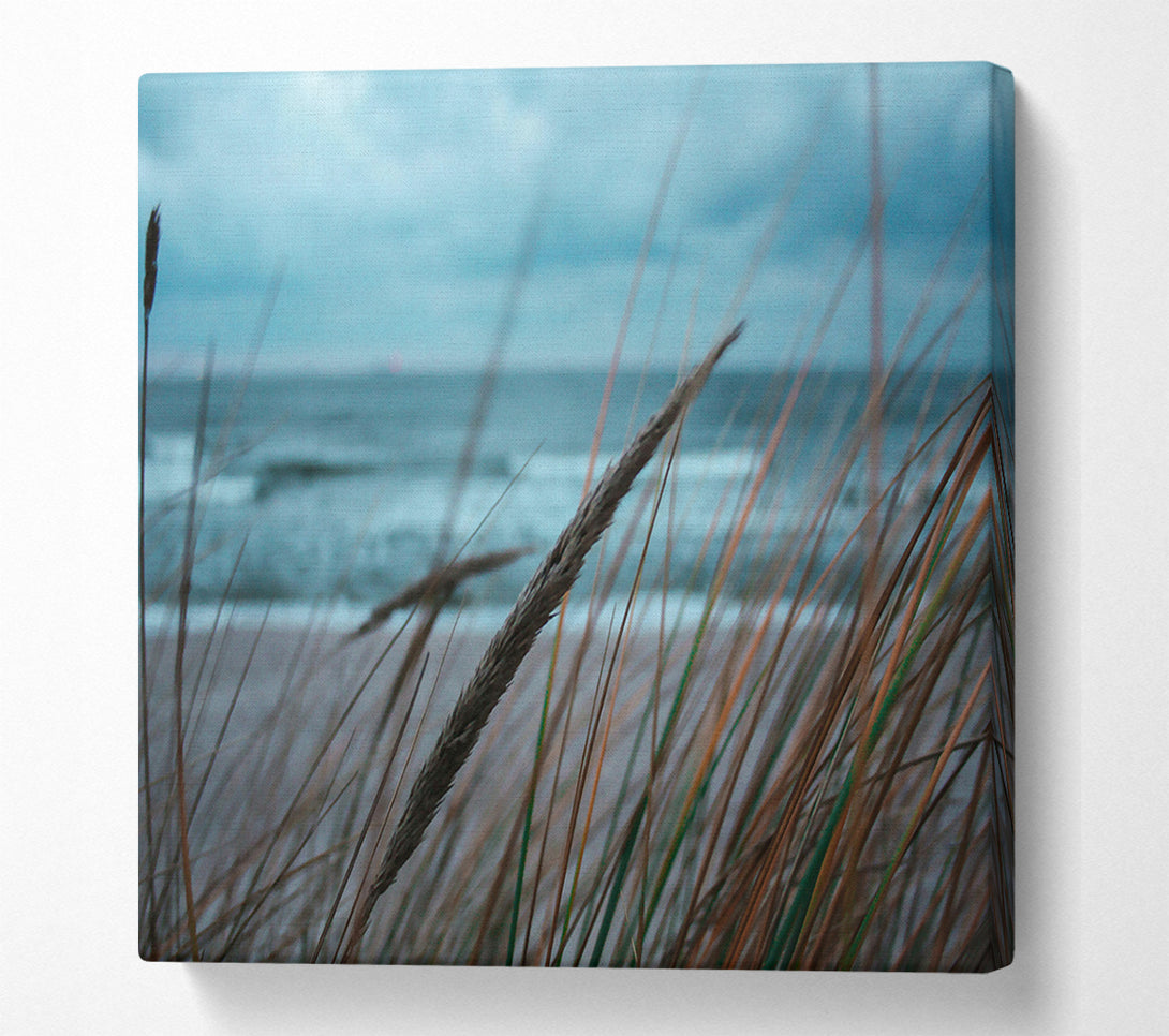  A Canvas Print of Blue Seagrass Whispers Canvas Wall Art