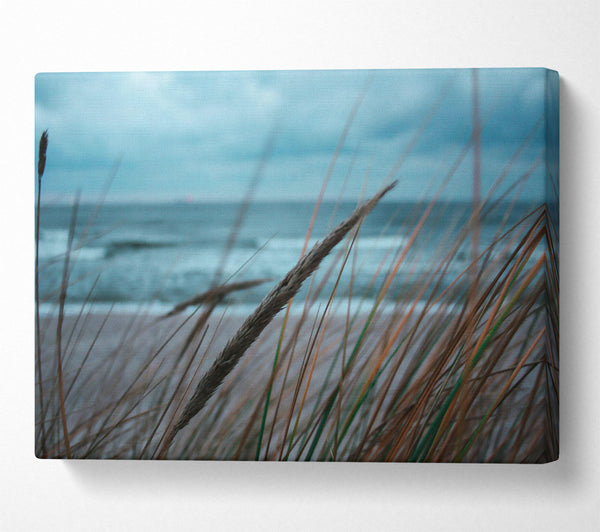  A Canvas Print of Blue Seagrass Whispers Canvas Wall Art