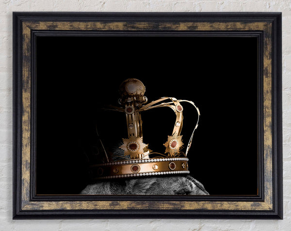Lion And Lioness Crowns Framed Print